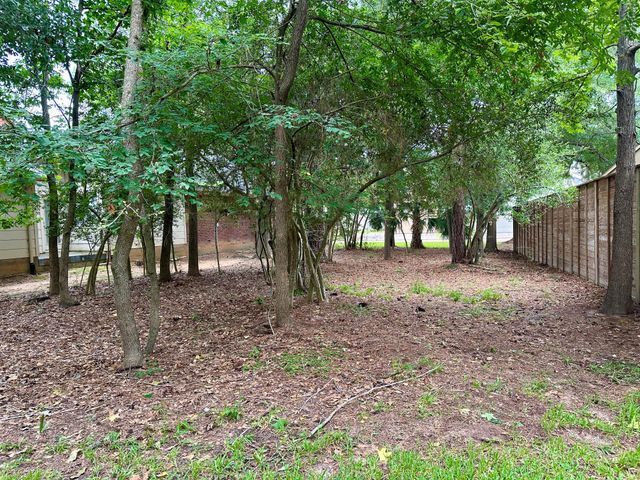 11534 Twain Drive, Montgomery, TX 77356
