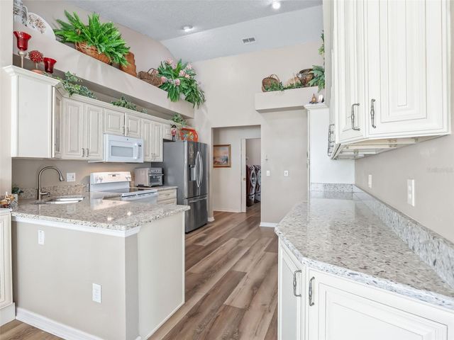 1409 MEADOW VIEW WAY, Lady Lake, FL 32159