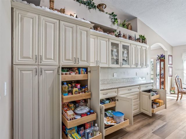 1409 MEADOW VIEW WAY, Lady Lake, FL 32159