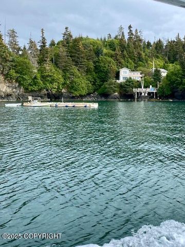 54066 Peterson Bay Remote SW, Homer, AK 99603