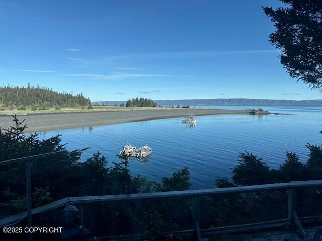 54066 Peterson Bay Remote SW, Homer, AK 99603