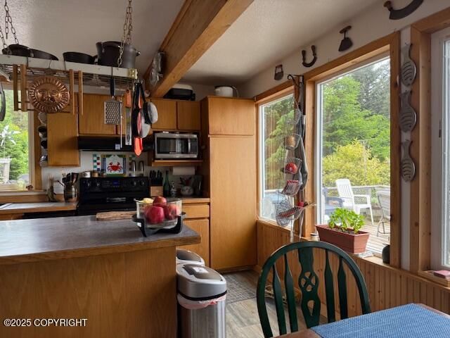 54066 Peterson Bay Remote SW, Homer, AK 99603