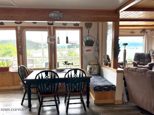 54066 Peterson Bay Remote SW, Homer, AK 99603