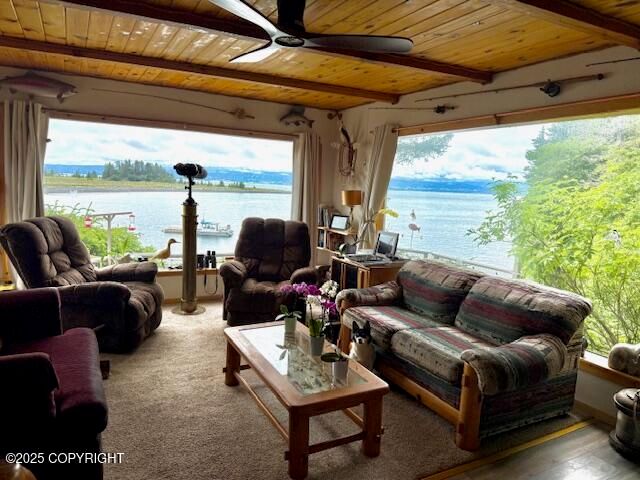 54066 Peterson Bay Remote SW, Homer, AK 99603