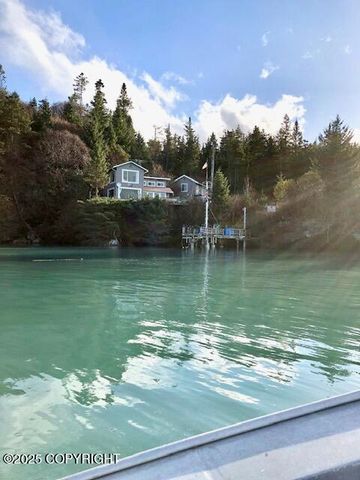 54066 Peterson Bay Remote SW, Homer, AK 99603