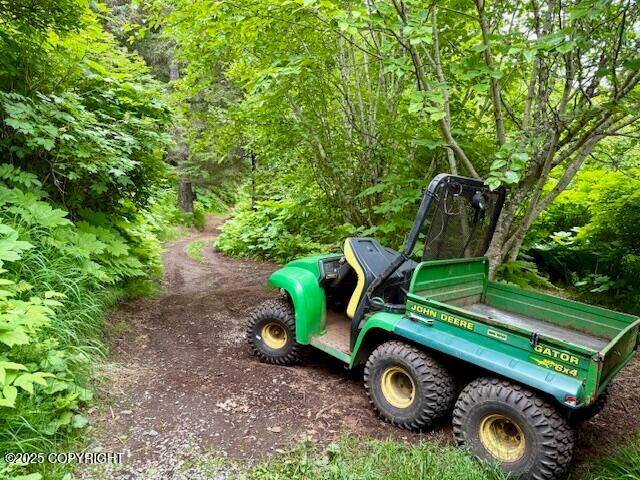 54066 Peterson Bay Remote SW, Homer, AK 99603