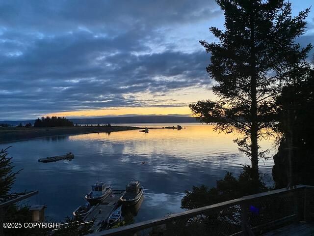 54066 Peterson Bay Remote SW, Homer, AK 99603