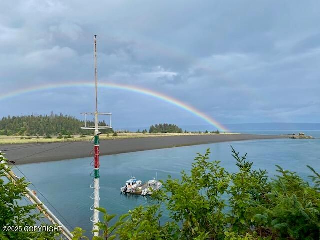 54066 Peterson Bay Remote SW, Homer, AK 99603