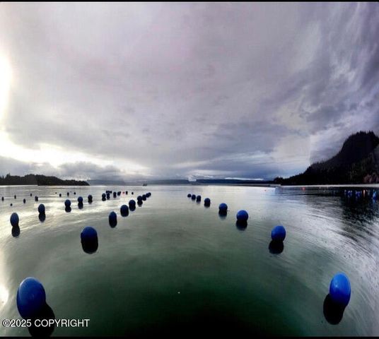 54066 Peterson Bay Remote SW, Homer, AK 99603