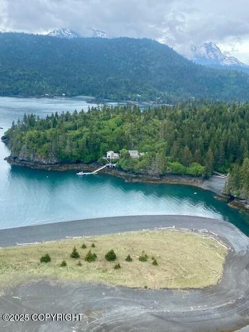 54066 Peterson Bay Remote SW, Homer, AK 99603