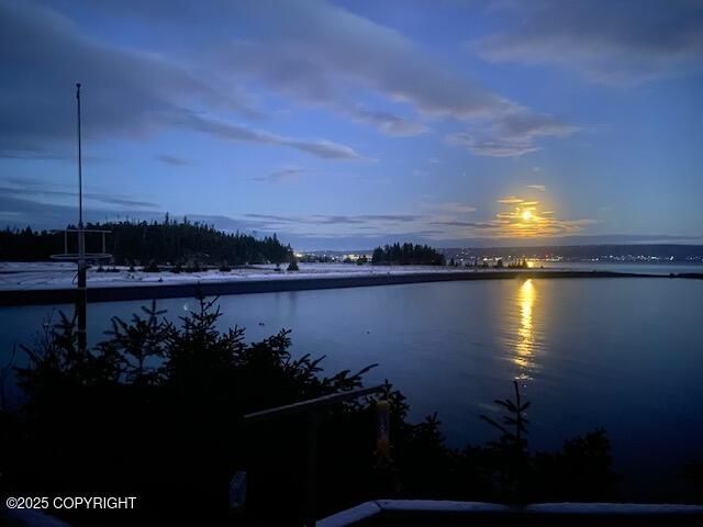 54066 Peterson Bay Remote SW, Homer, AK 99603
