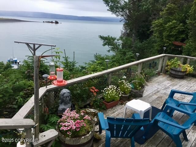 54066 Peterson Bay Remote SW, Homer, AK 99603