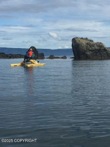 54066 Peterson Bay Remote SW, Homer, AK 99603