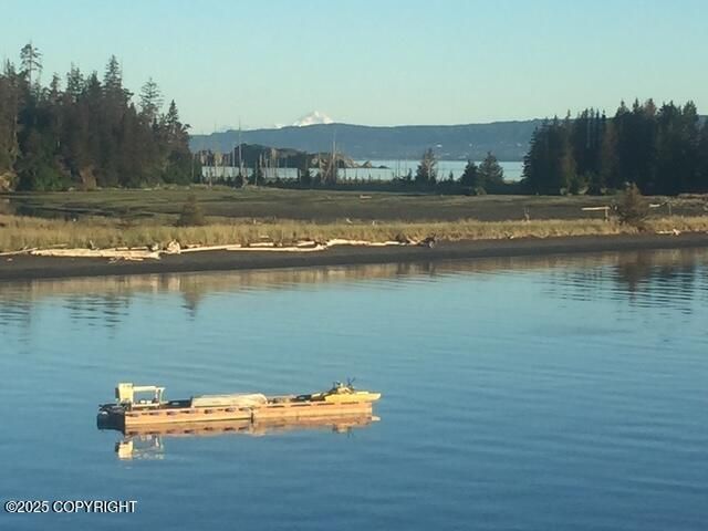54066 Peterson Bay Remote SW, Homer, AK 99603