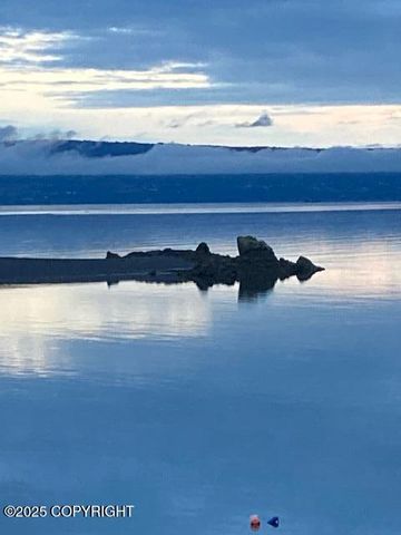 54066 Peterson Bay Remote SW, Homer, AK 99603