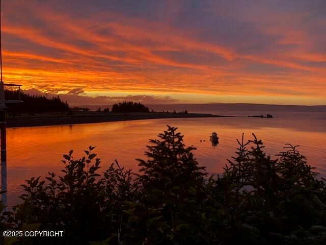 54066 Peterson Bay Remote SW, Homer, AK 99603