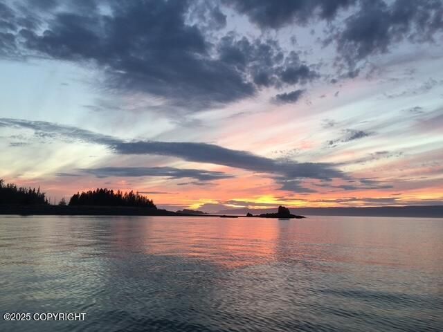 54066 Peterson Bay Remote SW, Homer, AK 99603