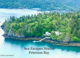 54066 Peterson Bay Remote SW, Homer, AK 99603