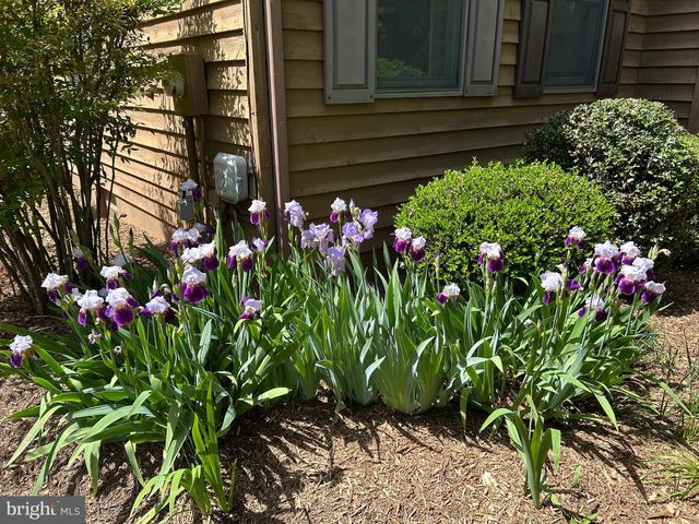 359 MALVERN DR, Madison, VA 22727