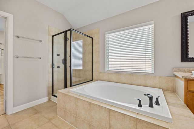 17215 Pine Hollow Landing Court, Houston, TX 77084