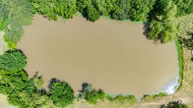 419 W Main Street, Pecan Gap, TX 75469