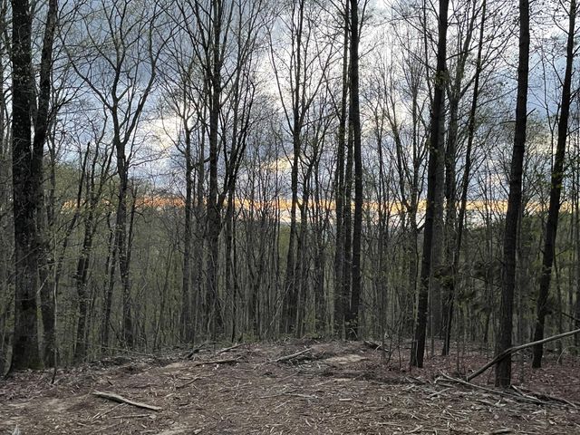 0 Honeybee Court, Jasper, TN 37347