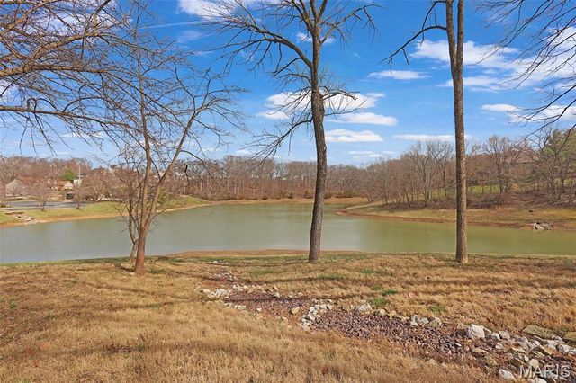 17669 Lasiandra Drive, Wildwood, MO 63005