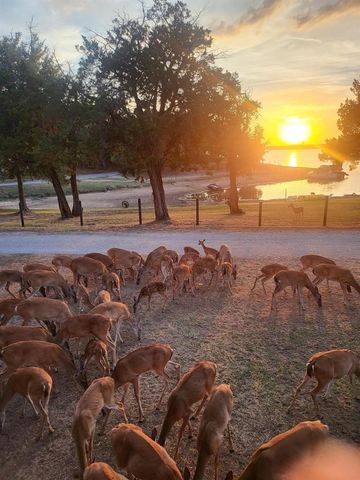 2334 Sanbar Road 86, Possum Kingdom Lake, TX 76449