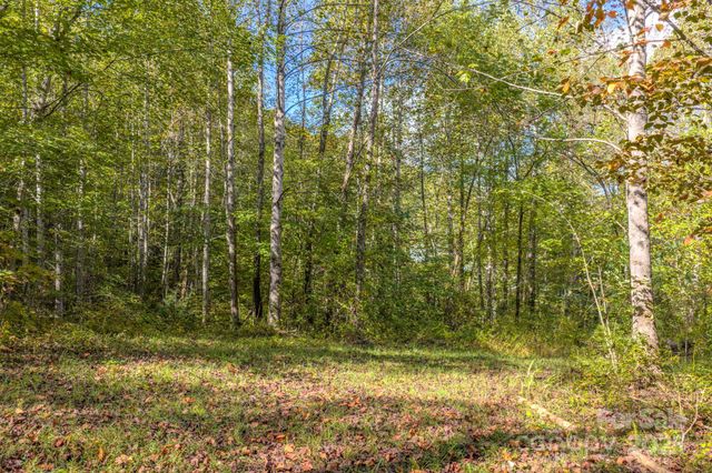 170 Midnight Sun Lane, Old Fort, NC 28762