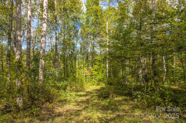 170 Midnight Sun Lane, Old Fort, NC 28762