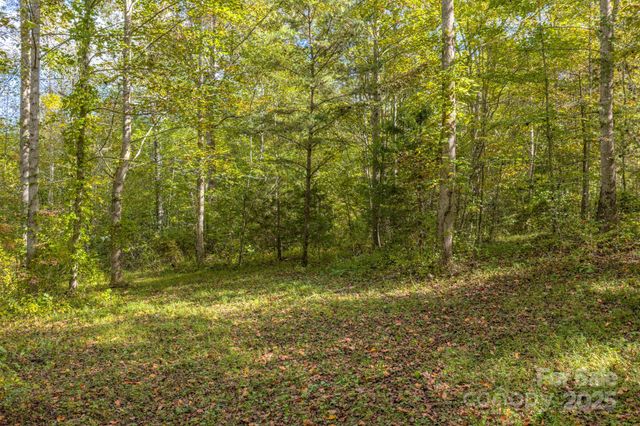 170 Midnight Sun Lane, Old Fort, NC 28762