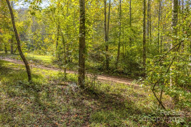 170 Midnight Sun Lane, Old Fort, NC 28762