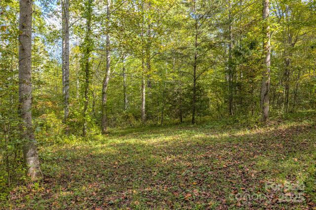 170 Midnight Sun Lane, Old Fort, NC 28762