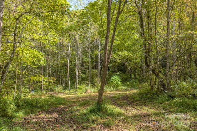 170 Midnight Sun Lane, Old Fort, NC 28762