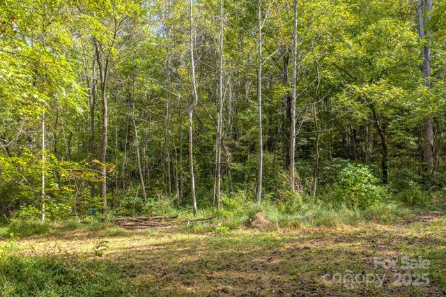 170 Midnight Sun Lane, Old Fort, NC 28762