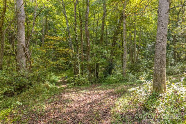 170 Midnight Sun Lane, Old Fort, NC 28762