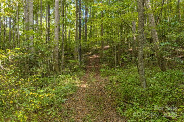 170 Midnight Sun Lane, Old Fort, NC 28762