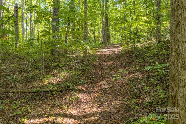 170 Midnight Sun Lane, Old Fort, NC 28762