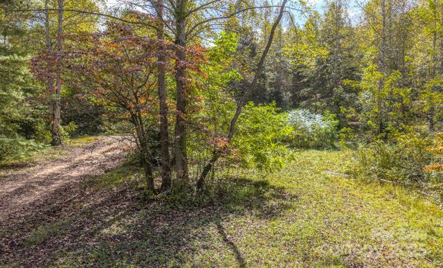 170 Midnight Sun Lane, Old Fort, NC 28762