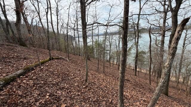 0 Pearson Road Tract 3, Harrison, TN 37341