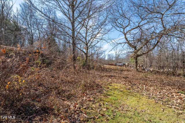 1203 North Barton Street, Johnson City, TN 37604