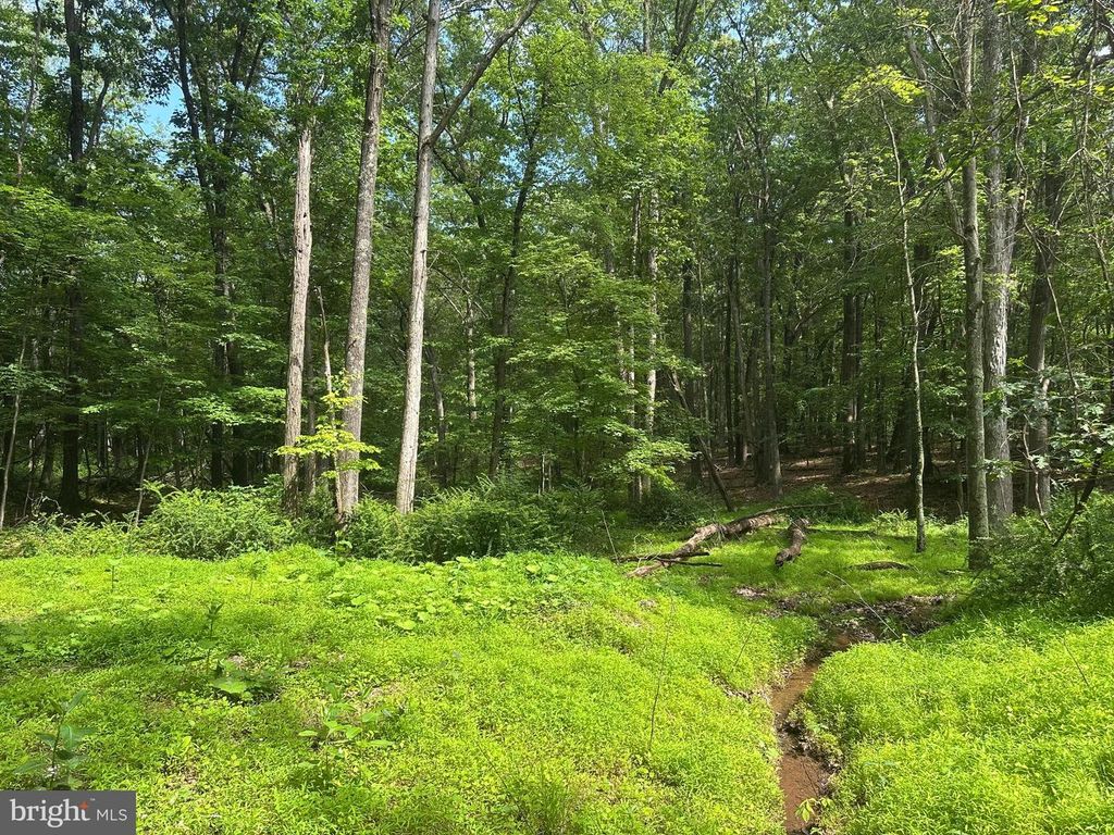 5.73 AC ANTHONY BOHRER ROAD, Slanesville, WV 25444