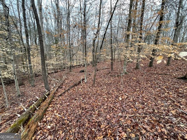 LOT 43 Chickasaw Drive, Westminster, SC 29693