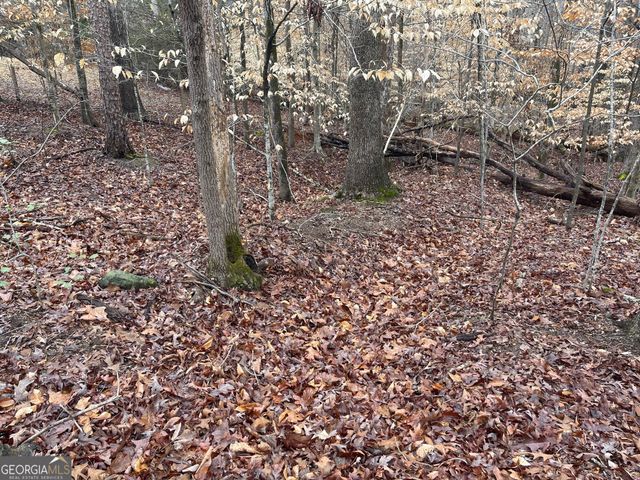 LOT 43 Chickasaw Drive, Westminster, SC 29693