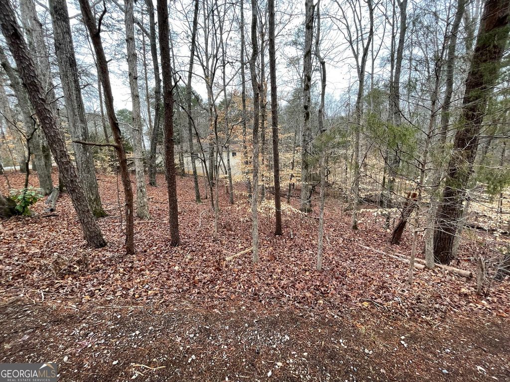 LOT 43 Chickasaw Drive, Westminster, SC 29693 — photo 4