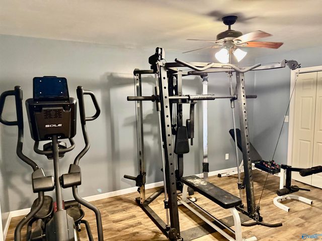 619 Neel School Road, Danville, AL 35619