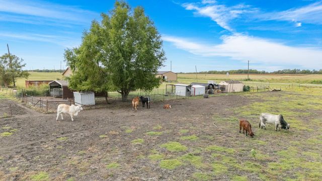 660 Milton Minter Road, Deport, TX 75435