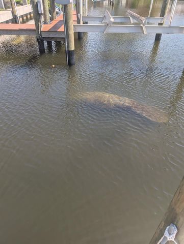 511 DONA DRIVE, Nokomis, FL 34275