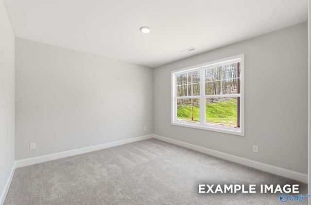 167 Evergreen Mill Lane, Madison, AL 35756