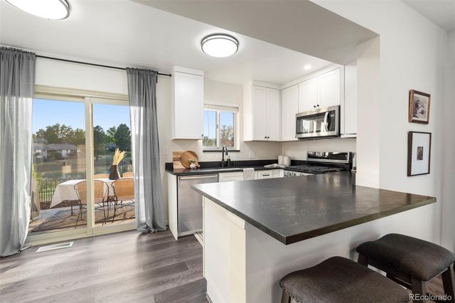 4416 W Pondview Drive, Littleton, CO 80123